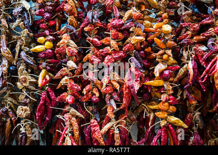 Hunderte von trockenen red hot chili peppers auf dem Markt Stockfoto