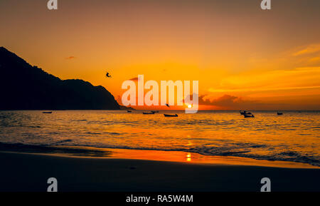 Tobago, West Indies, Karibik. Schönen Sonnenuntergang über dem Meer im Fischerdorf Castara mit Seevögeln und pelikanen Tauchen in den Ozean. Stockfoto