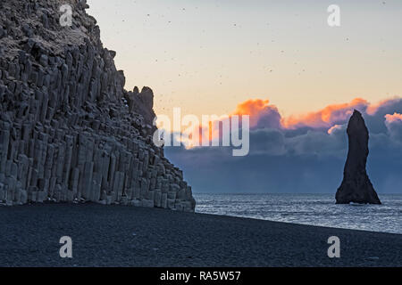Beachl Reynisfjara schwarzen Sand, mit Nördlichen, Eissturmvögel Fulmarus glacialis, fliegen in hohen Zahlen über den Basaltfelsen und Reynisdrangar sea Stacks, Stockfoto