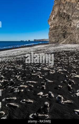 Verschneite Spuren entlang Reynisfjara schwarzer Sandstrand, mit Dyrholaey Natural Arch entfernt, in Island [Kein Model Releases; für redaktionelle licen verfügbar Stockfoto