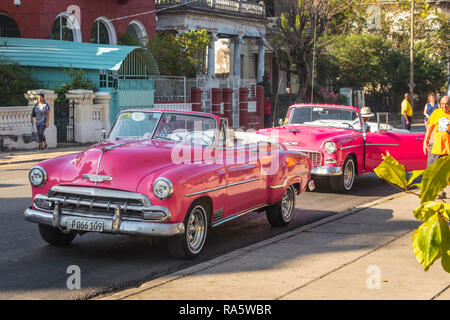 Klassischer rosafarbener amerikanischer chevrolet Deluxe cabriolet aus den 1950er Jahren, der vor verlassenen Häusern in Havanna, Kuba, Karibik, geparkt wird Stockfoto