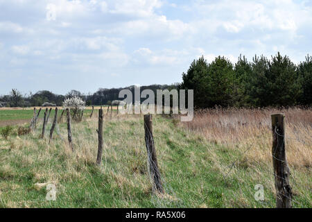 Der Zaun umschließt die Wiese. Grady odrzanskie' - odra River in der Nähe von Breslau. Natur Schutzgebiete "Natura 2000". Dolnoslaskie, Polen. Stockfoto