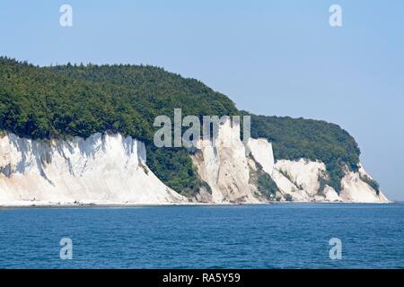 Weiße Kreidefelsen in der Nähe von Sassnitz, Rügen, Mecklenburg-Vorpommern Stockfoto