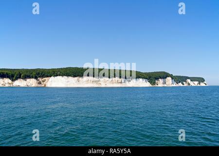 Weiße Kreidefelsen in der Nähe von Sassnitz, Rügen, Mecklenburg-Vorpommern Stockfoto