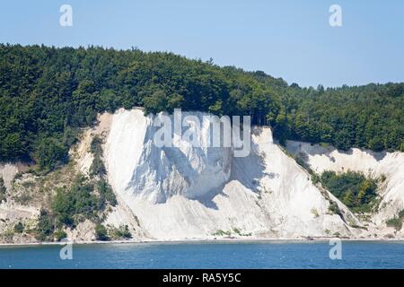 Weiße Kreidefelsen in der Nähe von Sassnitz, Rügen, Mecklenburg-Vorpommern Stockfoto