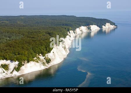 Luftaufnahme, weißen Kreidefelsen in der Nähe von Sassnitz, Rügen, Mecklenburg-Vorpommern Stockfoto