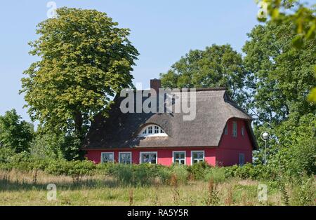 Freistehendes Haus mit Strohdach in Putgarten, Kap Arkona, Insel Rügen, Mecklenburg-Vorpommern Stockfoto