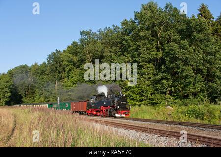 "Rasender Roland" Dampflok, Bahnhof Garftitz, Insel Rügen, Mecklenburg-Vorpommern Stockfoto