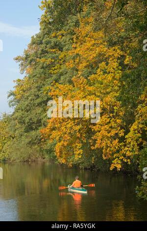 Herbstliche Stimmung auf der Ilmenau River in der Nähe von Deutsch auch, Deutsch-Evern, Niedersachsen, Deutschland Stockfoto