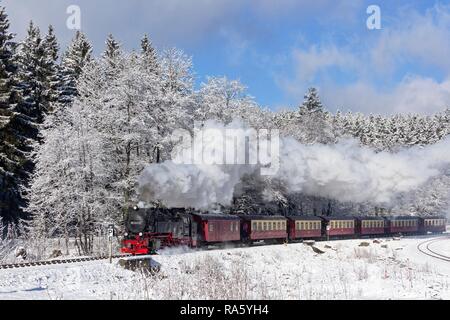 Brockenbahn Schmalspurbahn in eine winterliche Landschaft, Drei Annen-Hohne, Sachsen-Anhalt, Deutschland Stockfoto