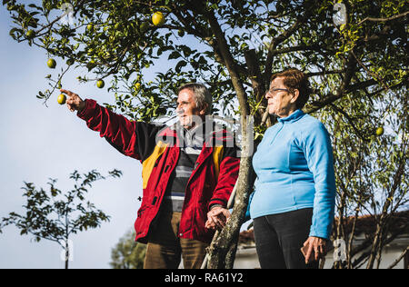 Ältere Paare halten sich an den Händen, unter einem Baum, der ältere Mann mit dem Finger und der Frau sieht in dieser Richtung Stockfoto