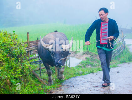 Mann aus dem Roten Dao Minderheit in einem Dorf in der Nähe von Ha Giang in Vietnam. Stockfoto