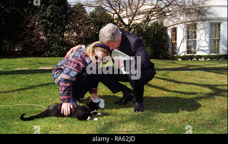 2/24/1997 - Foto von Präsident William Jefferson Clinton und First Lady Hillary Rodham Clinton Spielen mit Socken die Katze Stockfoto