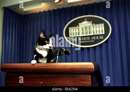 12/05/1993 - Foto von Socken die Katze stehend auf dem Podium in der Presse Pressebereich im Weißen Haus Stockfoto