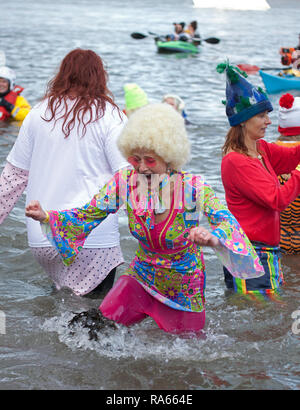 South Queensferry, Edinburgh, Schottland, Großbritannien. 01. Januar 2019. Queensferry neues Jahr Loony Dook, die jährlichen Bad im Firth von weiter im Schatten der weltberühmten Forth Rail Bridge. Erfolgt am dritten Tag der Edinburgh Hogmany ins neue Jahr feiern. Maximale Kapazität Masse Stockfoto