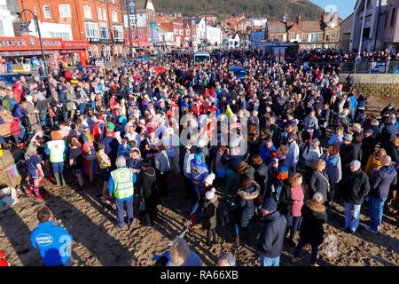 1. Januar 2019, Scarborough, North Yorkshire, UK. Die neuen Jahre Tag Schwimmen in der Nordsee, die von Scarborough Lions ausgeführt wird und hebt Geld für gute Zwecke. Die milden Temperaturen sahen 1000 Zuschauer zu beobachten 100 von Schöpflöffel das kalte Wasser trotzen. Credit: Yorkshire Pics/Alamy leben Nachrichten Stockfoto