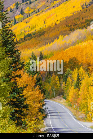 Aspen Bäume und Herbst Farbe zusammen US Highway 550, die Million Dollar Highway, zwischen Ouray und Silverton, Colorado. Stockfoto