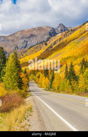 Aspen Bäume und Herbst Farbe zusammen US Highway 550, die Million Dollar Highway, zwischen Ouray und Silverton, Colorado. Stockfoto