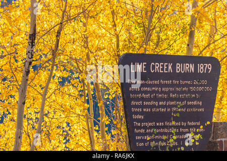 Landschaftlich reizvolle Fahrt mit Herbst Farbe zusammen US 550, die Million Dollar Highway in Colorado. Stockfoto