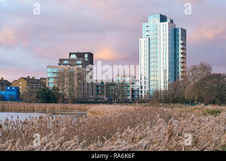Neue Wohnung Gebäude am Woodberry Down, nördlich von London, betrachtet aus Woodberry Feuchtgebiete in der Dämmerung, im Winter Stockfoto