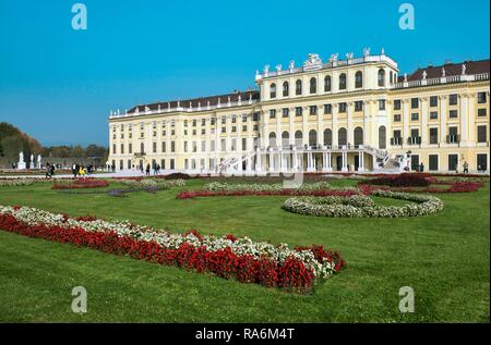Schloss Schönbrunn mit Blumenbeet, Wien, Österreich Stockfoto