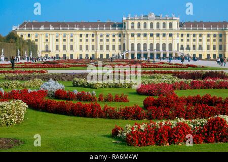 Schloss Schönbrunn mit Blumenbeet, Wien, Österreich Stockfoto