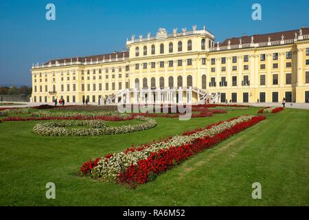 Schloss Schönbrunn mit Blumenbeet, Wien, Österreich Stockfoto