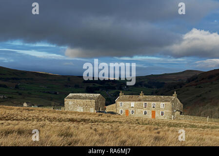 Bauernhof - Gelbe Häuser - in Arkengarthdale, Yorkshire Dales National Park, North Yorkshire, England, Großbritannien Stockfoto