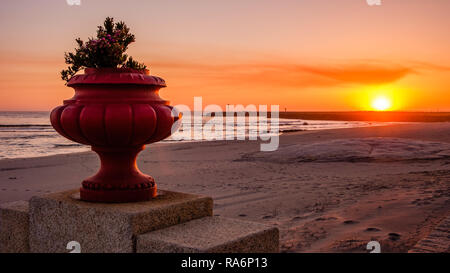 Vila Praia de Ancora, Portugal - Mai 04, 2018: Sonnenuntergang, Vila Praia de Ancora, Portugal Stockfoto