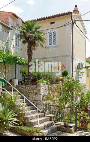 Anlage Dekorationen auf einer Treppe außerhalb eines Hauses, das historische Zentrum, Omišalj, Krk, Kvarner Bucht, Kroatien Stockfoto