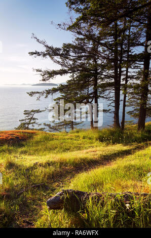 Trail entlang der grünen Küste, Jones Island Marine State Park, San Juan Inseln, Washington State, USA Stockfoto