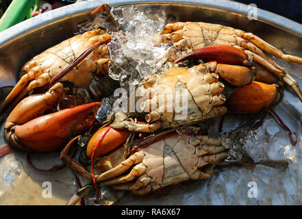 Frische Krabben auf dem Markt in Yangon, Myanmar Stockfoto