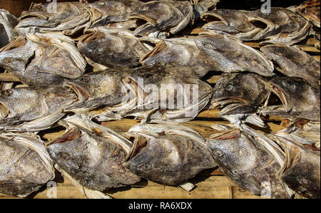 Getrocknete Fische auf dem Markt, Myanmar (Birma) Stockfoto