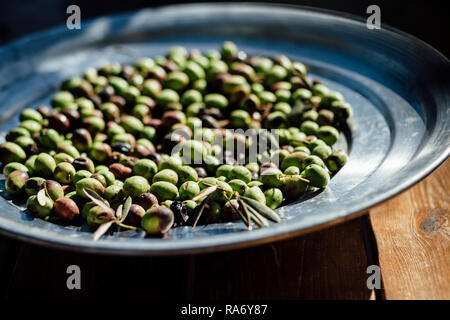 Frische Oliven ernten und in der Herstellung von frischen Ernte. Natürliches Licht und Komposition. Stockfoto