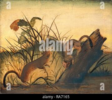 Studio von John James Audubon, Long-Tailed Weasel, C. 1845, Öl auf Leinwand. Neuerfundene durch Gibon. Klassische Kunst mit einem Neuerfundene Stockfoto