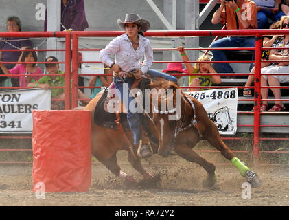 Eine junge barrel Racer führt Ihr Pferd um ein Fass mit hoher Geschwindigkeit in eine Arena in der ein Alberta Rodeo. Stockfoto