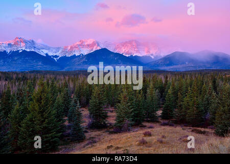 Ein Querformat der Alberta Rocky Mountains am frühen Morgen Alpenglow Licht in der Nähe von Brule Alberta Kanada, Stockfoto