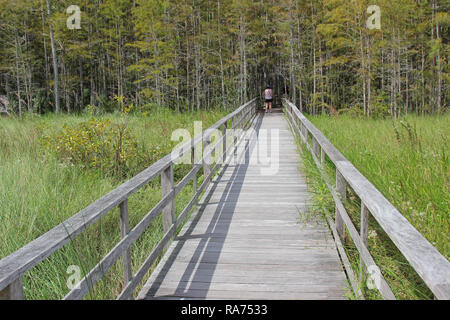 Board Walk in den Sumpf Stockfoto