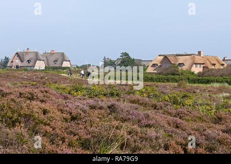 Reetgedeckte Häuser, Kampen, Sylt, Schleswig-Holstein, Deutschland Stockfoto