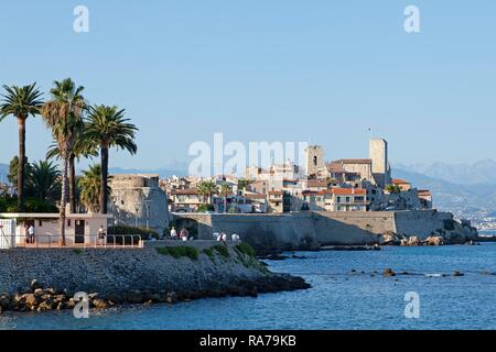 Altstadt, Antibes, Cote d'Azur, Frankreich Stockfoto