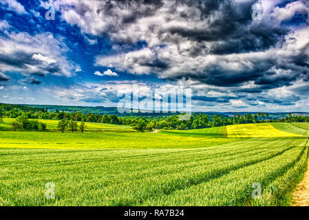 Dieses einzigartige Foto zeigt die Landschaft mit Weizen, Felder und Wald mit einer extrem grossen Himmel in Heimerdingen in Baden-Wuerttemberg in Deutschland Stockfoto