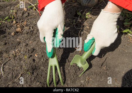 Eine behandschuhte Hand hält eine Schaufel und bereitet den Boden für die Anpflanzung von Pflanzen und Gemüse in einem organischen Garten, eine umweltfreundliche Landwirtschaft conc Stockfoto