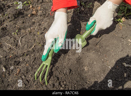 Eine behandschuhte Hand hält eine Schaufel und bereitet den Boden für die Anpflanzung von Pflanzen und Gemüse in einem organischen Garten, eine umweltfreundliche Landwirtschaft conc Stockfoto