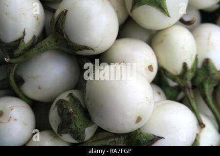 Weiße Auberginen für Verkauf, Co Giang Markt, Ho Chi Minh City, Vietnam Stockfoto