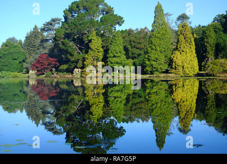 Herbstfarben in Sheffield Park Gardens, East Sussex, Großbritannien Stockfoto