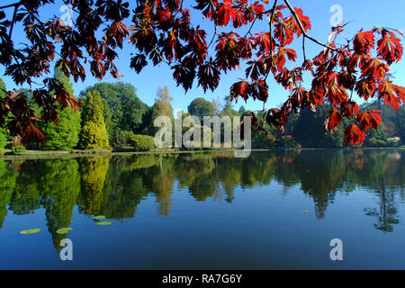 Herbstfarben in Sheffield Park Gardens, East Sussex, Großbritannien Stockfoto