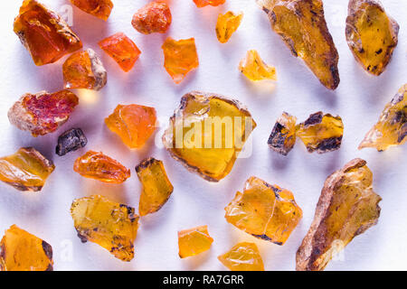 Amber aus Tiger Mountain, King County, Washington State, USA, legal gesammelt mit Geology Adventures Stockfoto