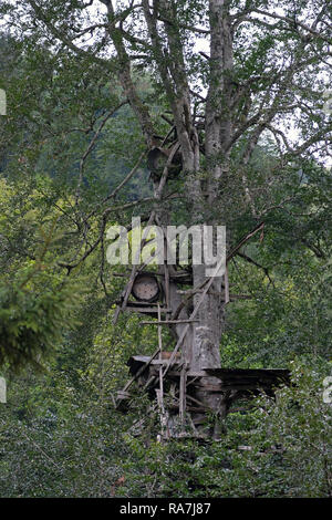 Honig Hersteller ihre Bienenstöcke auf Bäumen, sie von den Bären zu schützen. Stockfoto