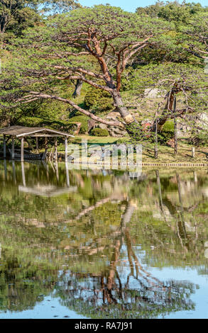 Landschaft am Daisensui Teich in den Rikugien Gärten, Tokyo, Japan Stockfoto