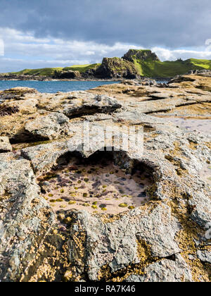 Seltene Dinosaur Footprint der Sauropoden - dominiert von tracksite Rubha nam Brathairean, Brüder - Isle of Skye, Schottland. Stockfoto